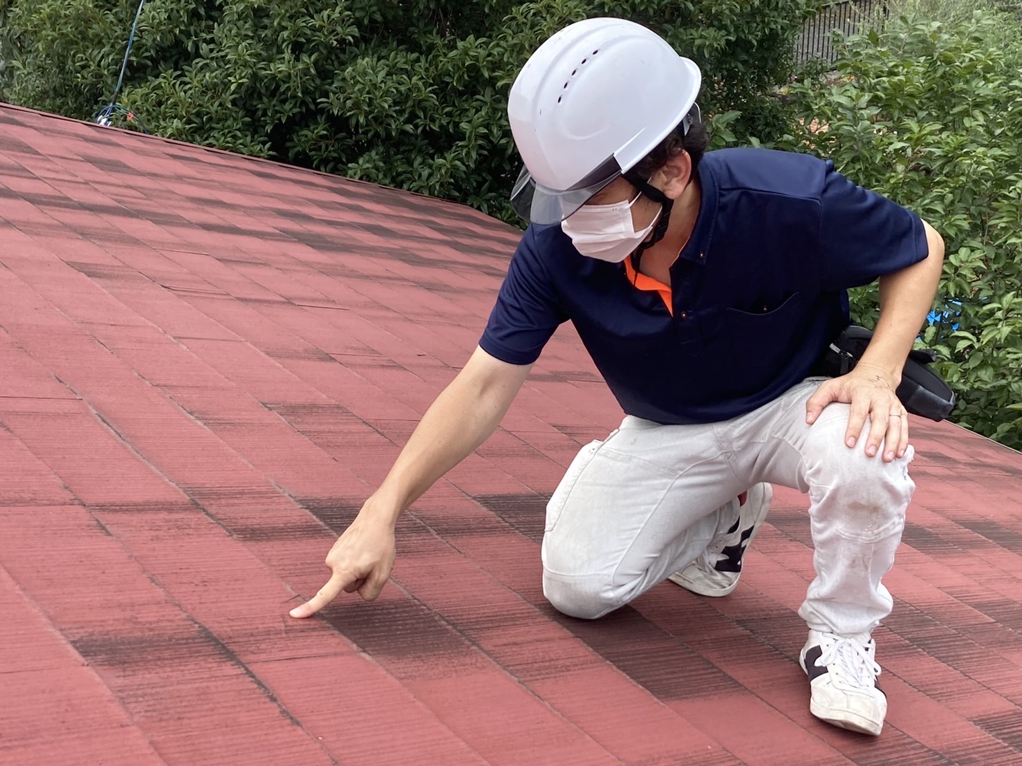 現地診断のポイント